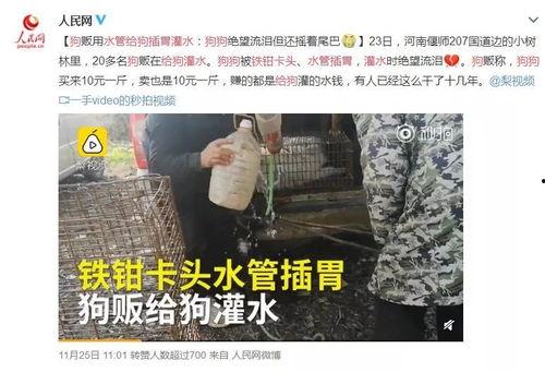 洛阳嵩县爆料事件视频最新,真相与争议交织  第3张