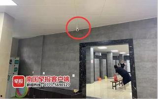 广西王女士最新爆料,揭秘惊人内幕! 第1张 广西王女士最新爆料,揭秘惊人内幕! 第1张